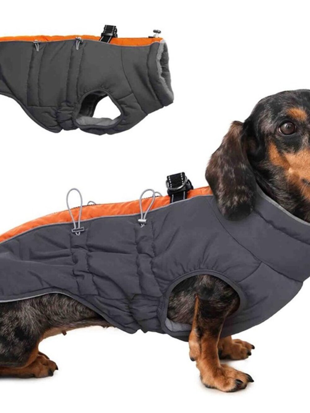 Dog Winter Jacket Warm Padded Coat Orange Gray Size M